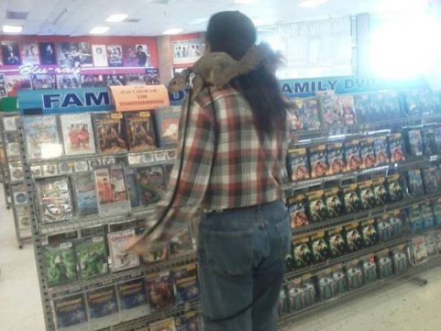 Content Image