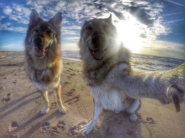 Daily Picdump