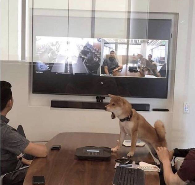Content Image