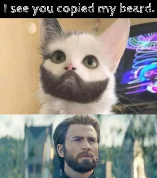 Funny Picdump