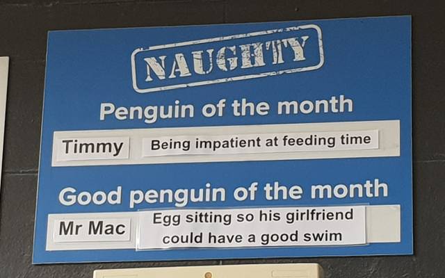 Funny Picdump