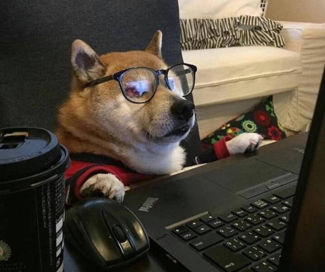 Content Image