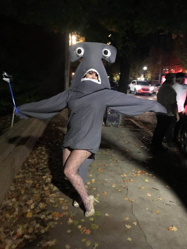 Content Image
