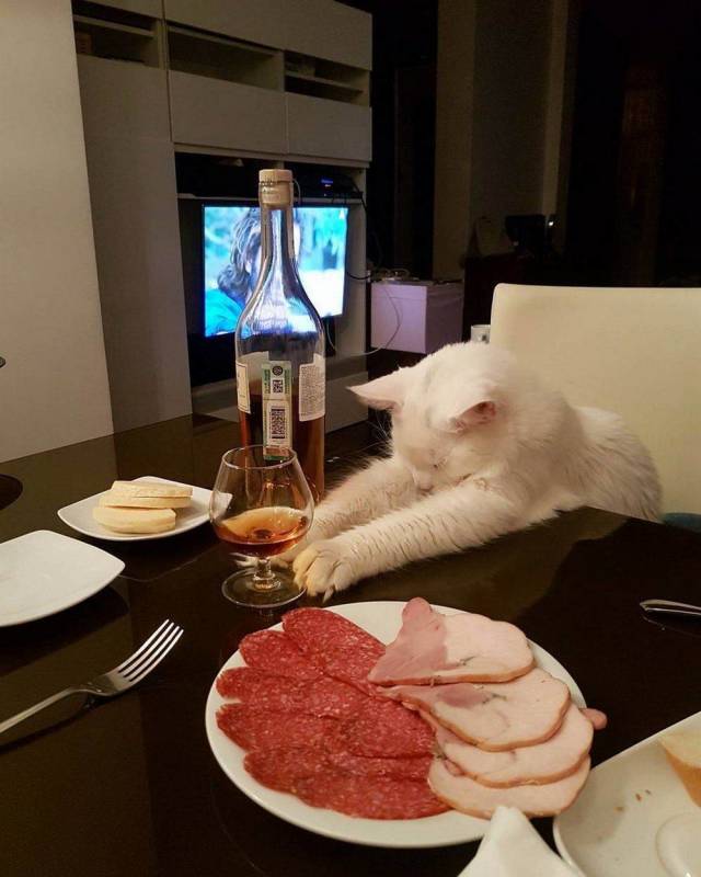 Content Image