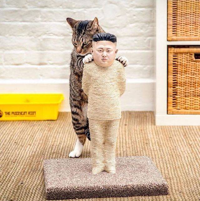 Content Image