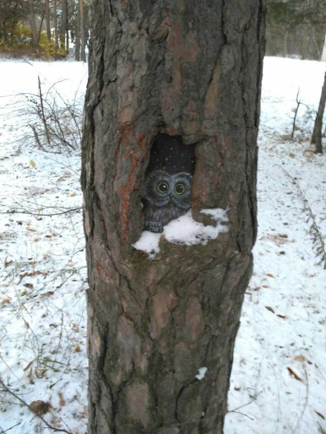 Morning Picdump