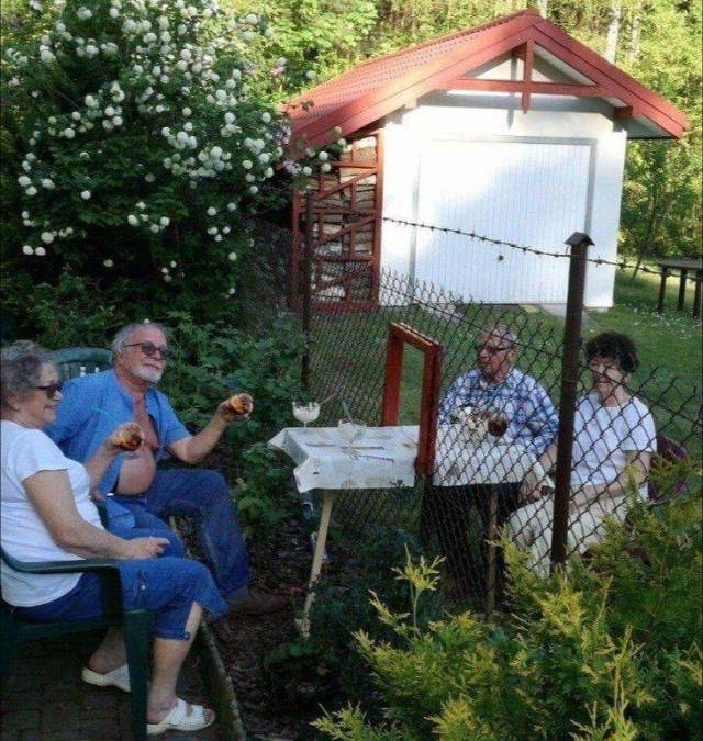 Content Image