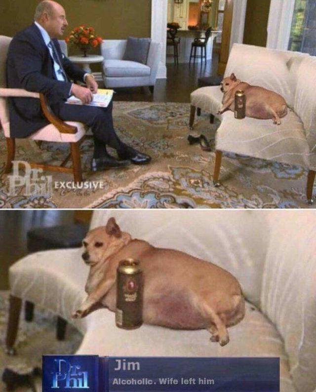 Content Image