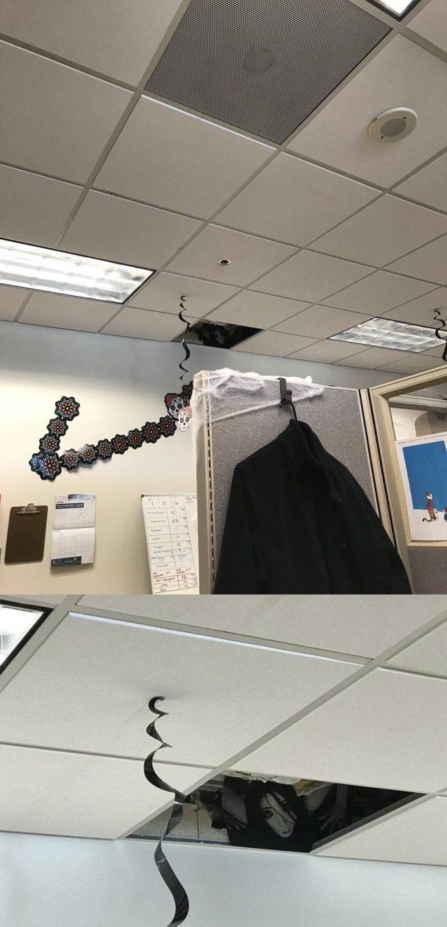 Content Image