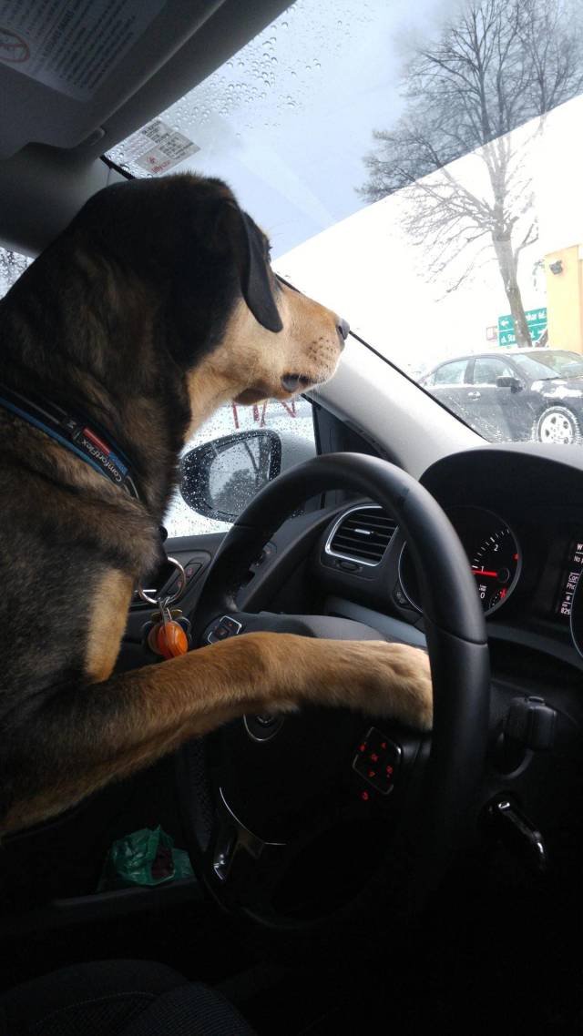 Content Image