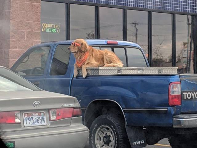 Daily Picdump