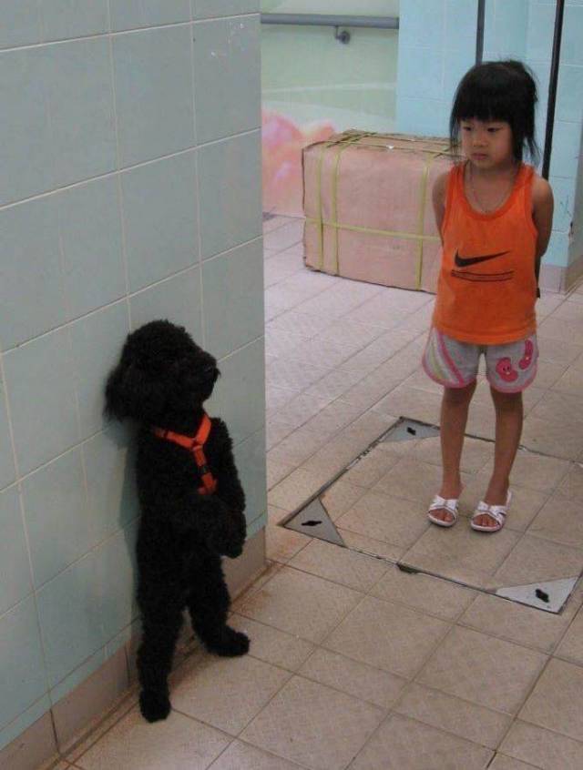 Content Image
