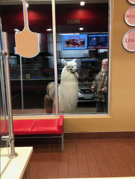 Morning Picdump