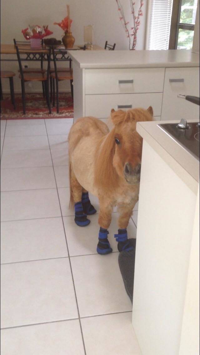 Morning Picdump
