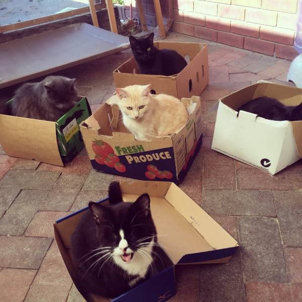 Daily Picdump