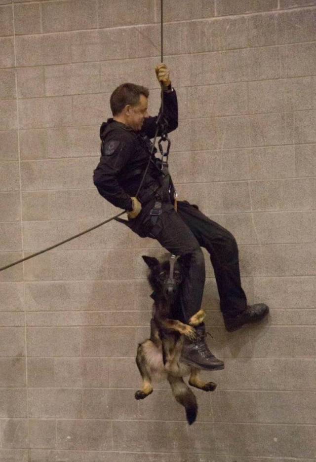 Daily Picdump