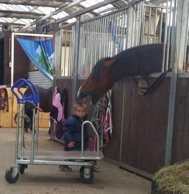 Daily Picdump