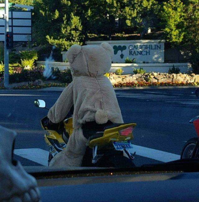 Daily Picdump