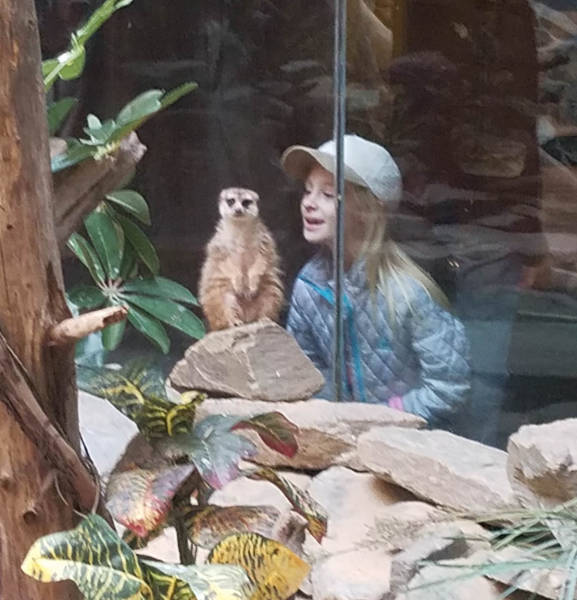 Morning Picdump