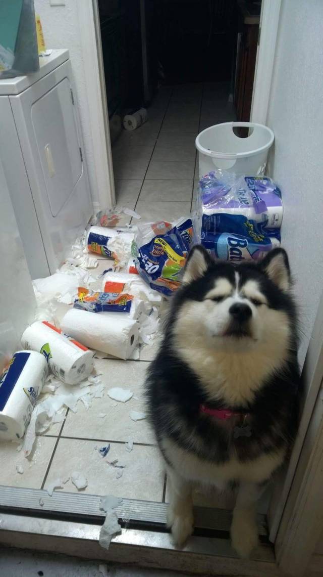 Daily Picdump