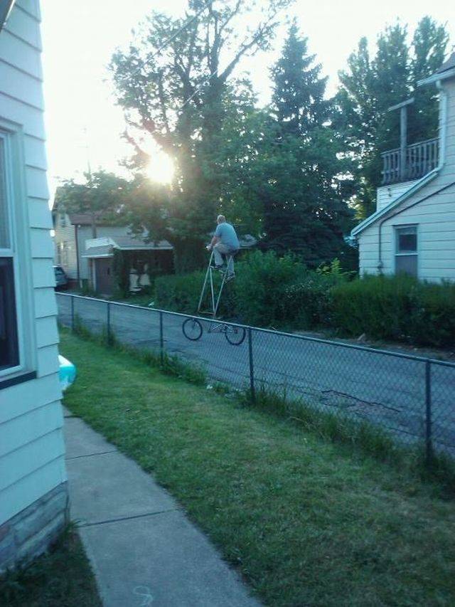 Daily Picdump