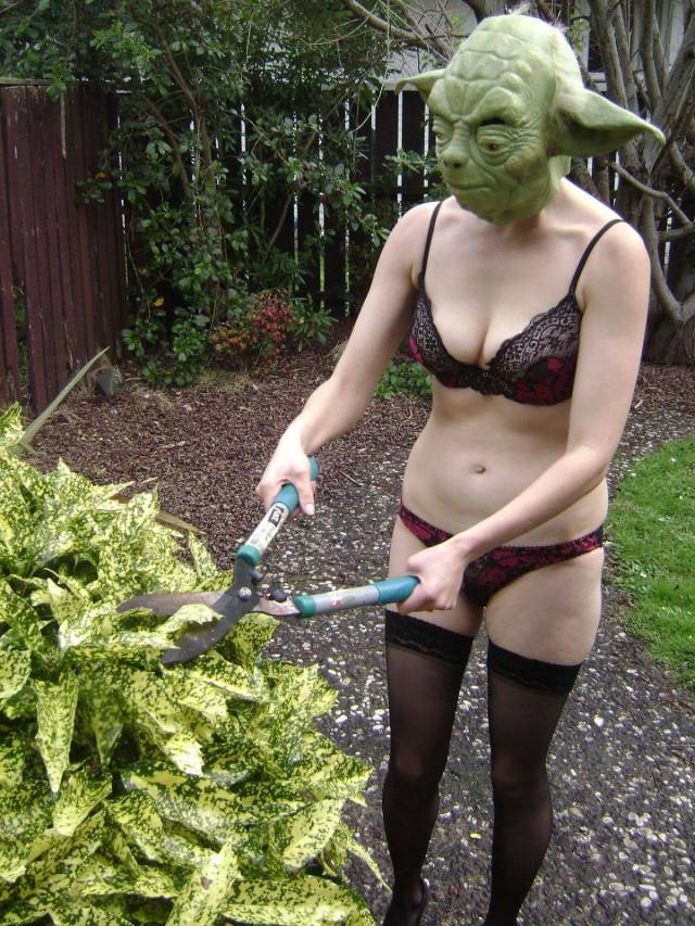 Content Image