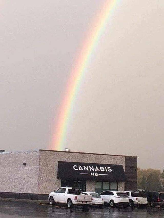Content Image