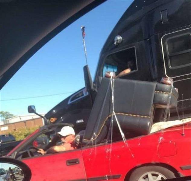 Daily Picdump