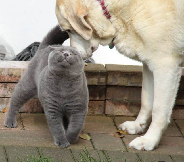 Daily Picdump