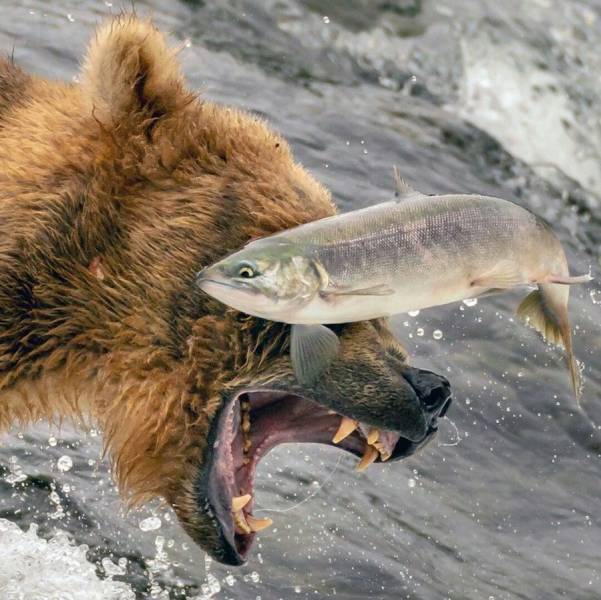 Daily Picdump
