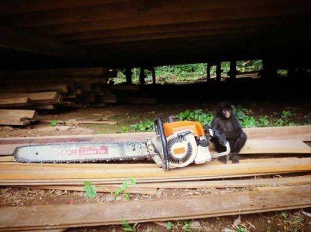 Daily Picdump