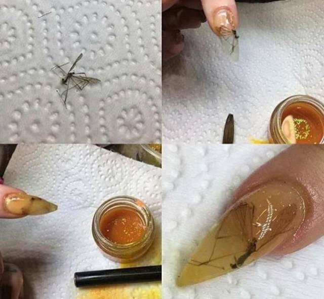 Content Image