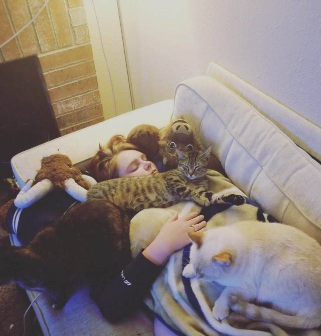 Daily Picdump