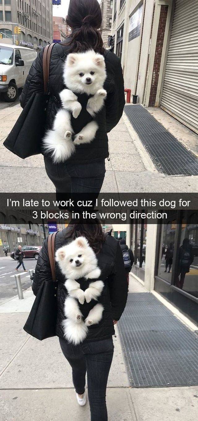 Daily Picdump