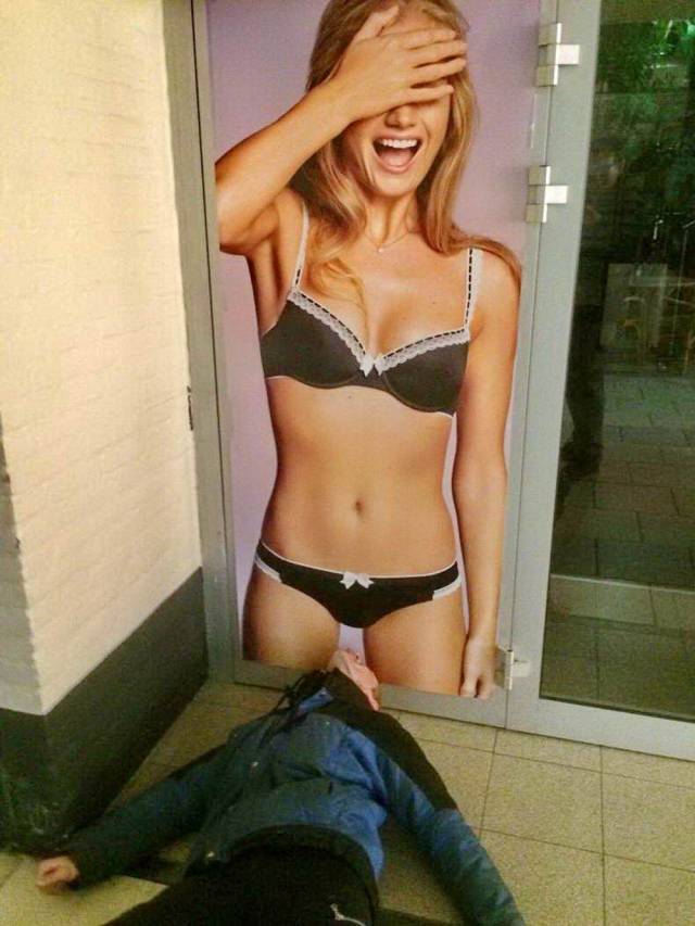 Daily Picdump