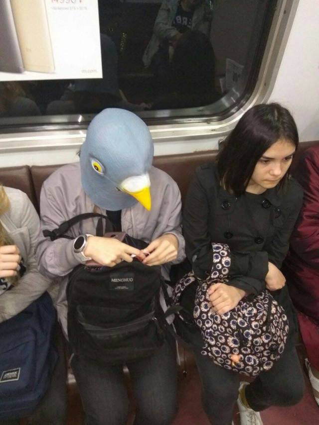 Content Image