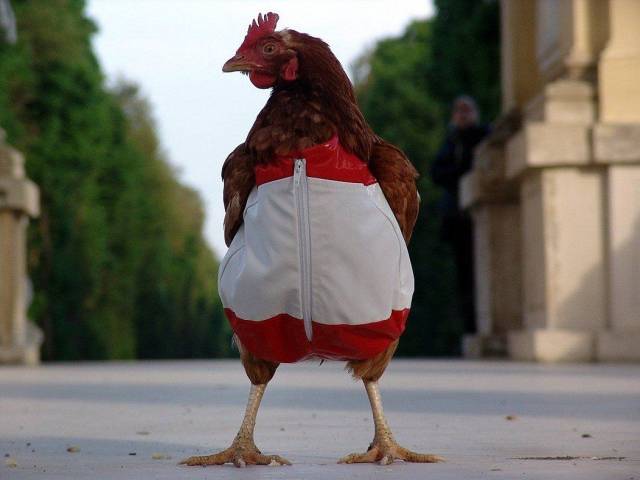 Daily Picdump