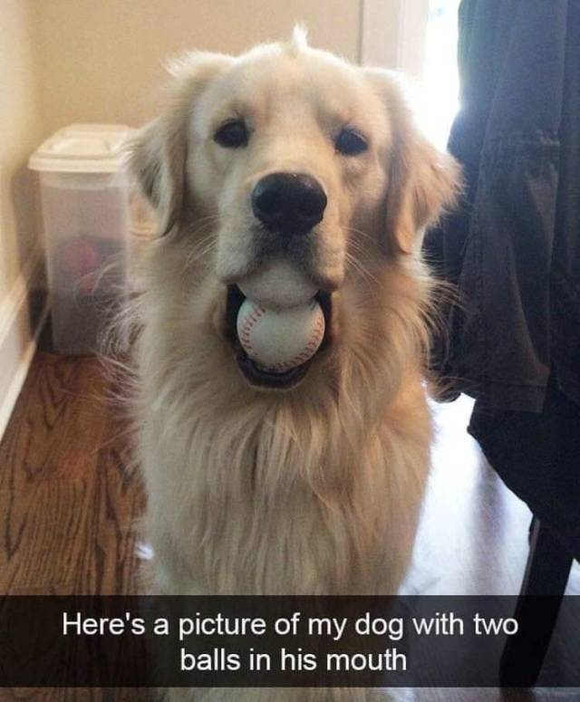 Content Image