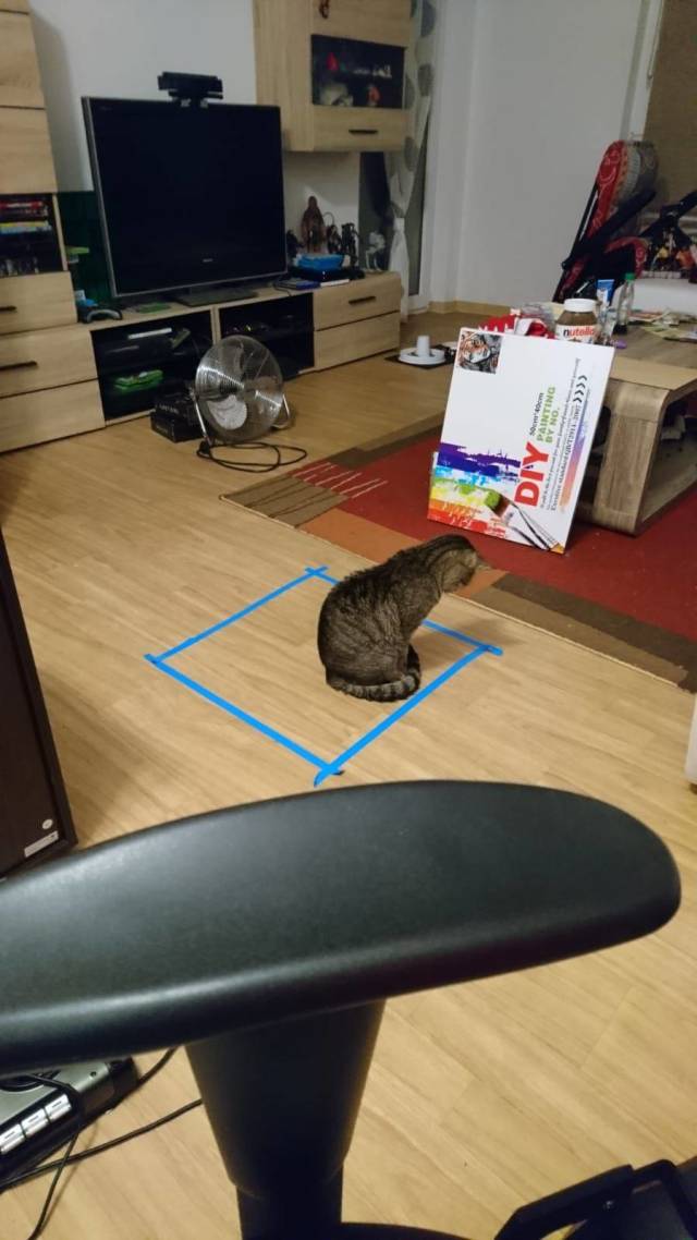 Content Image