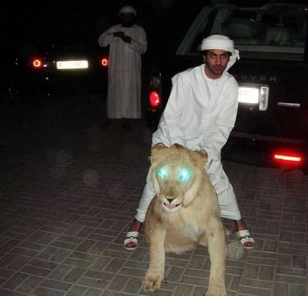 Daily Picdump