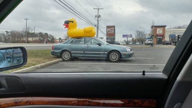 Daily Picdump