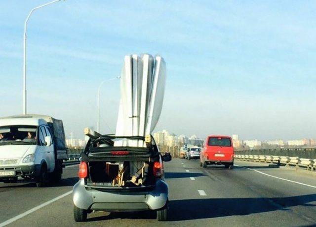Daily Picdump