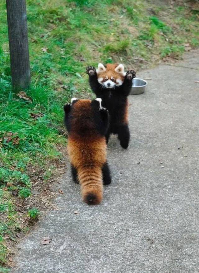 Daily Picdump