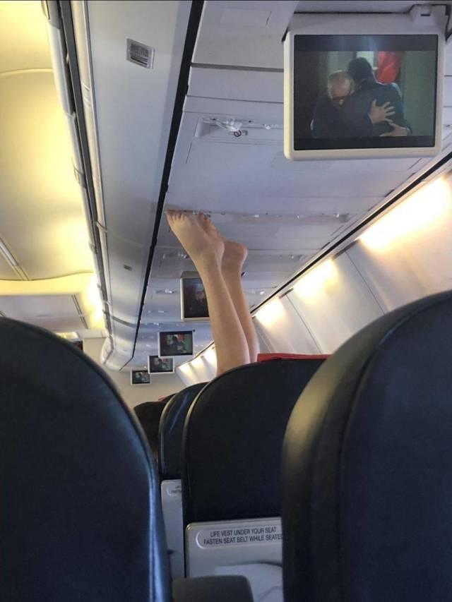 Daily Picdump