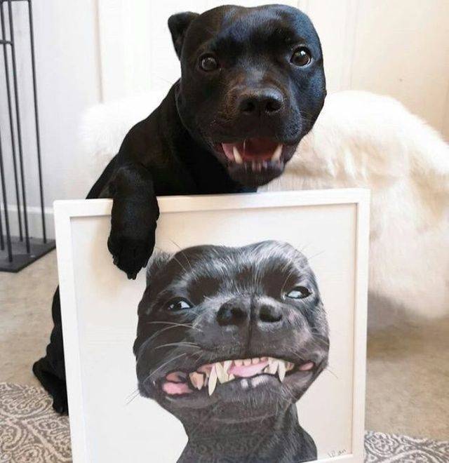 Daily Picdump