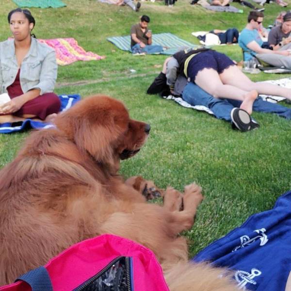Daily Picdump