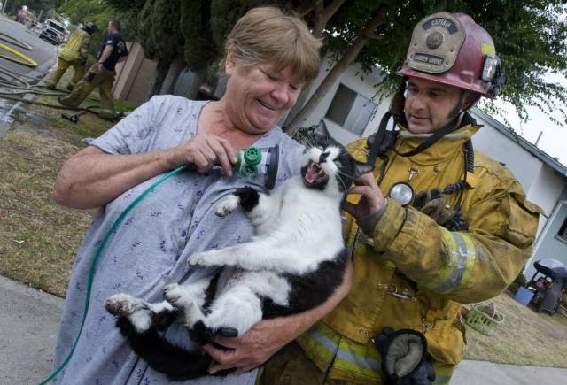 Daily Picdump