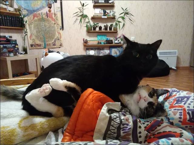 Daily Picdump