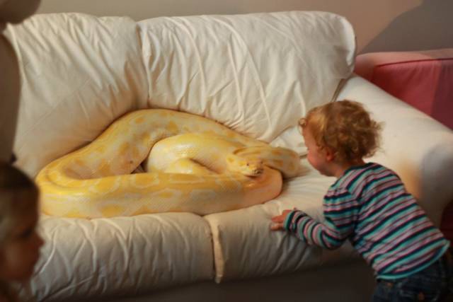 Daily Picdump