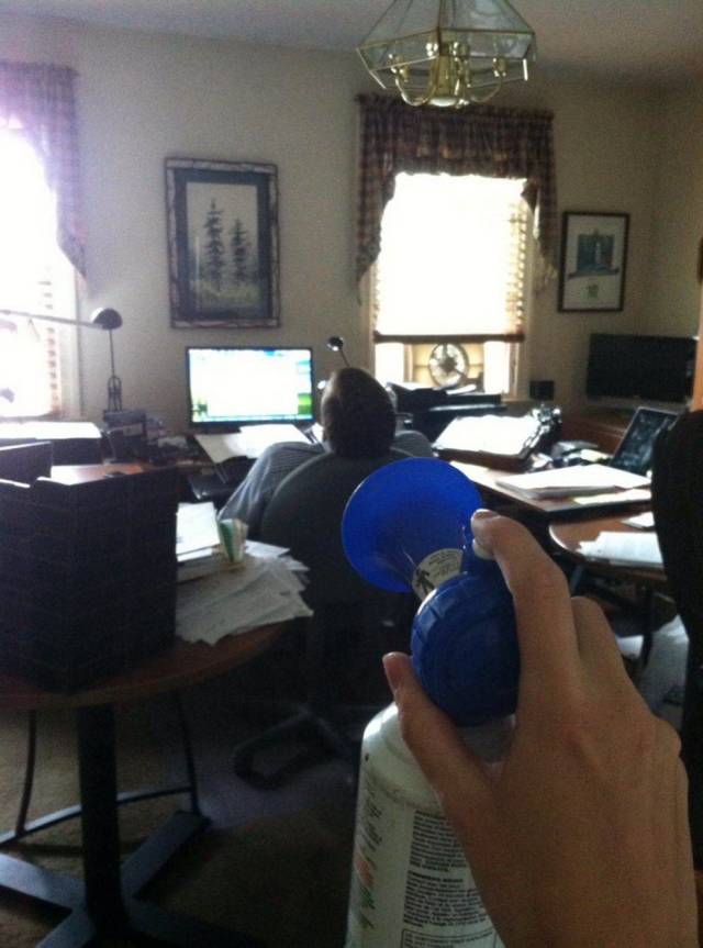 Daily Picdump